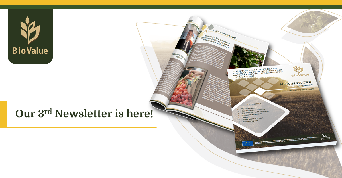 3rd BioValue Newsletter - BioValue